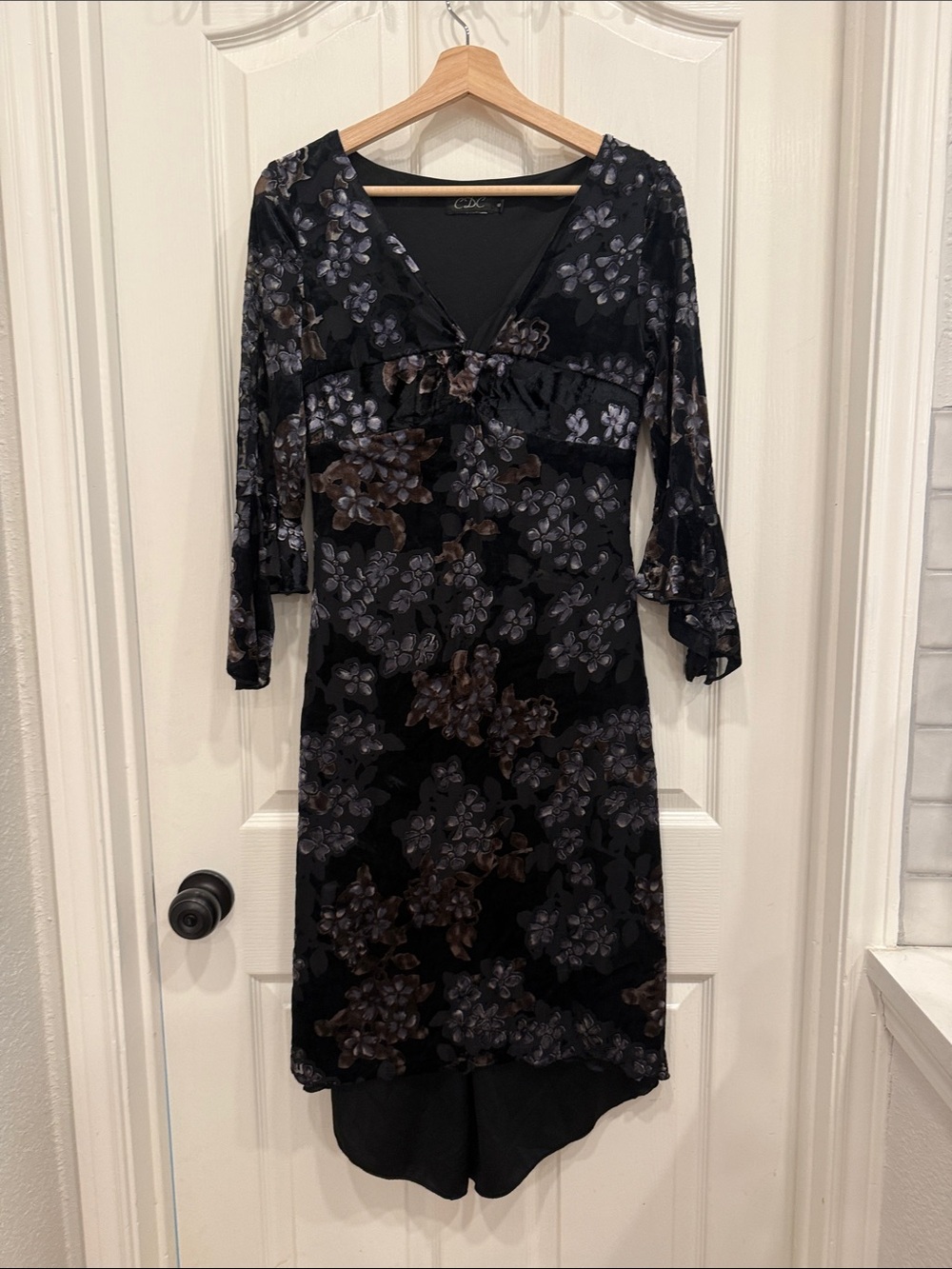 Whimsigoth dark floral velvet dress